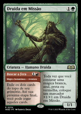 Questing Druid